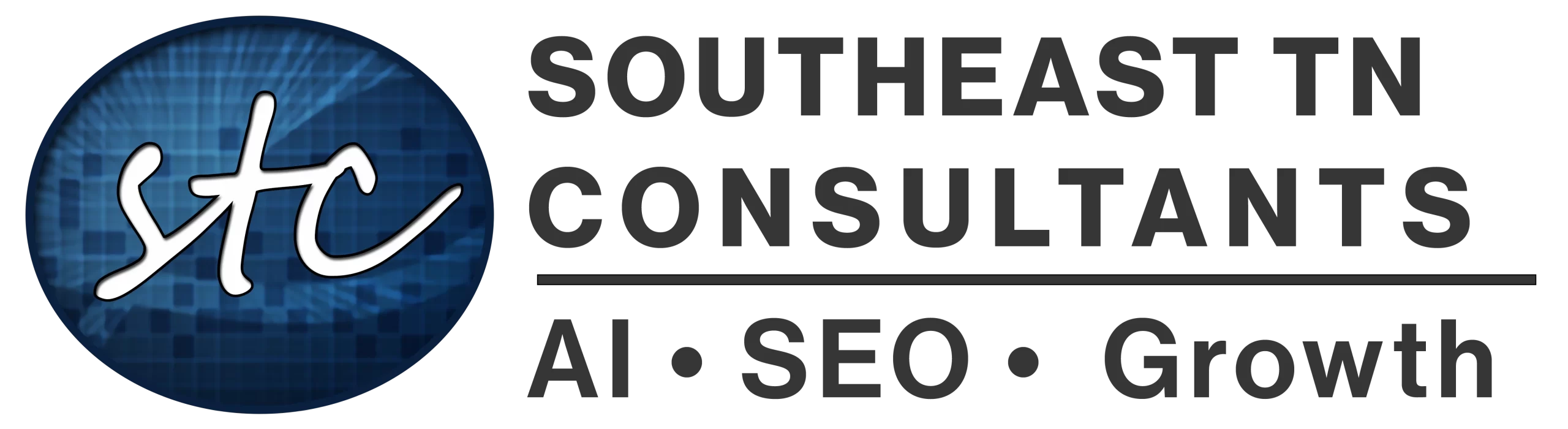 SE TN Consultants text icon logo