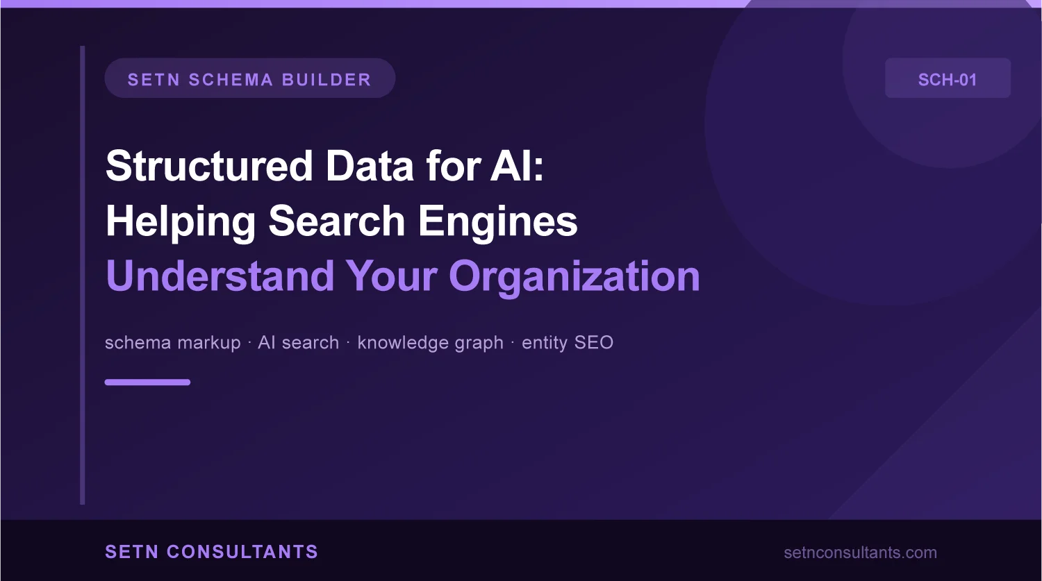 structured-data-for-ai-organizations